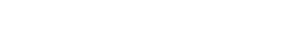 https://sprintsandbox.viziglobal.com/